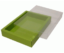 Windowbox 175x120x30mm kiwi green