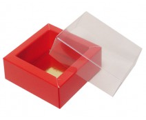 Windowbox 60x60x30mm strawberry 