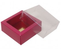 Windowbox 60x60x30mm dahlia 