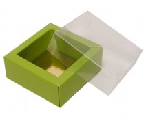 Windowbox 60x60x30mm kiwi green 