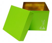 Cubebox Bunny L130xW130x115mm Vert pomme laqué