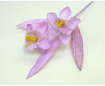 Narcis pick x 2 fuchsia