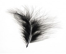 Pluim Maribou black appr. 60  pcs in packing