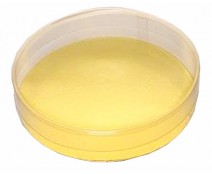 PVC round D150x H30mm transparant