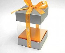 Skylinebox L150xW150xH150mm exterior Monaco Silver-orange