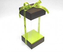 Skylinebox L120xW120xH190mm exterior Bali Brown-lime