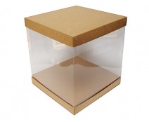 Skylinebox L250xW250xH200mm exterior Kraft