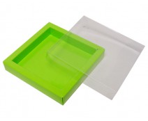 Windowbox 100x100x19mm vert pomme laque