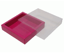 Windowbox120x120x30mm dahlia 