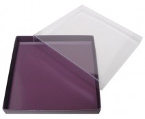 Windowbox carre large 140x140x19mm fig