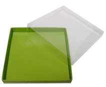 Windowbox carre large 140x140x19mm kiwi green