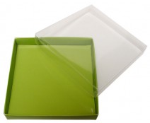 Windowbox carre small 110x110x19mm kiwi green