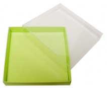 Windowbox carre small 110x110x19mm pistache