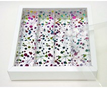Windowbox maxi 145x145x33mm divider included S.T.Polaris